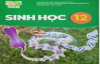 Đề cương ôn tập kiểm tra cuối học kì 1 - Sinh học 12