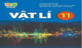 H Li11