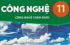 Đề cương ôn tập kiểm tra giữa học kì 1 - CNNN 1 - Năm học 2026 2027