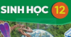 Đề cương ôn tập kiểm tra giữa học kì 1 - Sinh 12 - Năm học 2026 2027