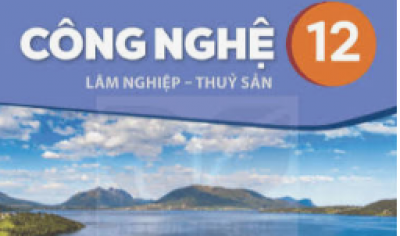 Đề cương ôn tập kiểm tra giữa học kì 1 - CNNN 12 - Năm học 2026 2027