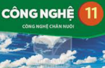 Đề cương ôn tập kiểm tra giữa học kì 1 - CNNN 1 - Năm học 2026 2027