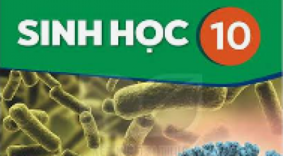 Đề cương ôn tập kiểm tra giữa học kì 1 - Sinh 10 - Năm học 2026 2027