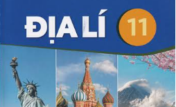 Dia11
