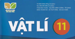 Li11